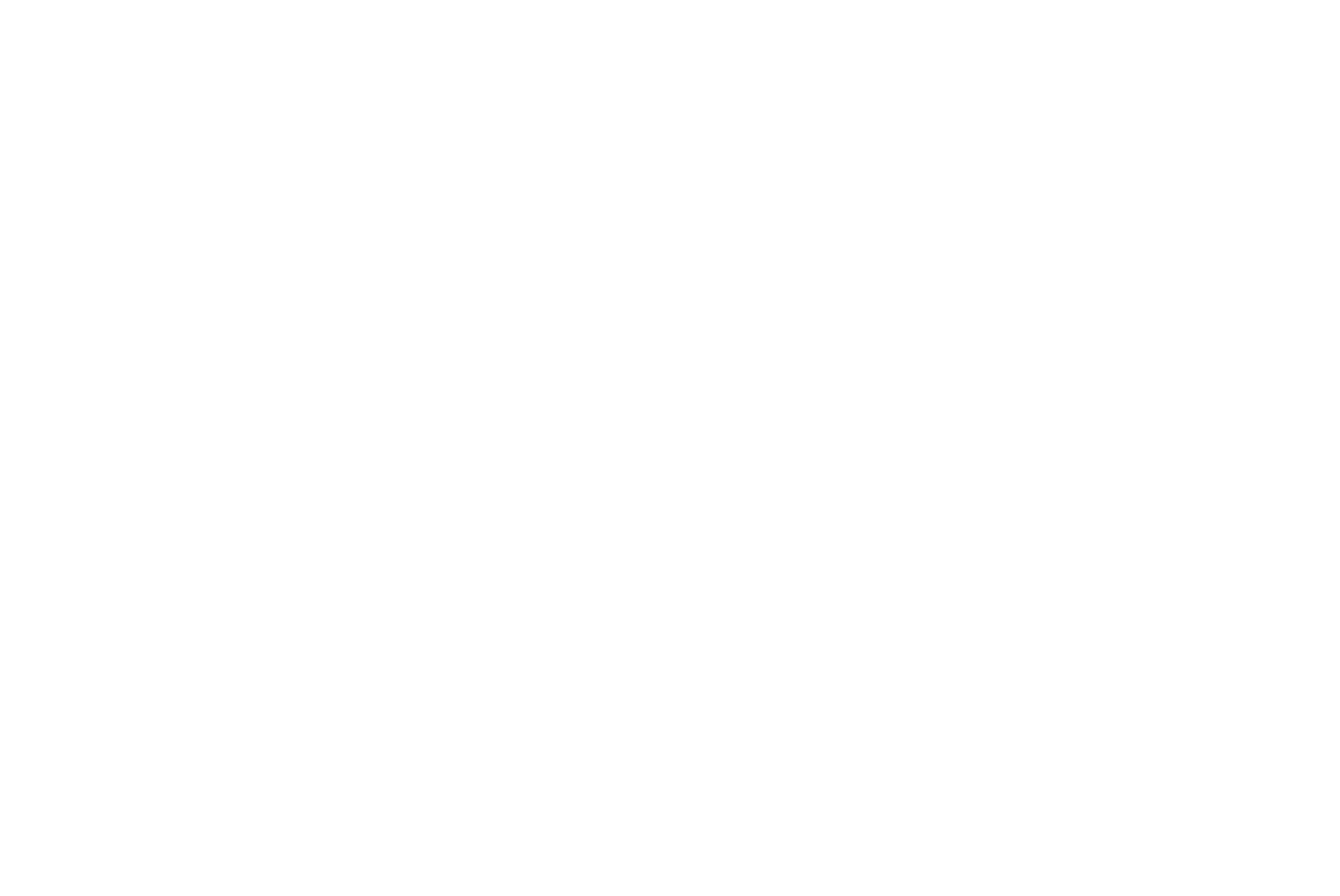iPublish Media Solutions Logo Stacked White